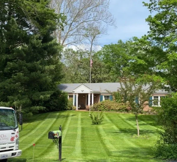mowing3-1920w